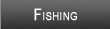 Lake Wedowee Fishing